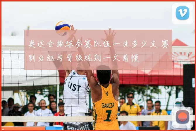 奥运会排球参赛队伍一共多少支 赛制分组与晋级规则一文看懂