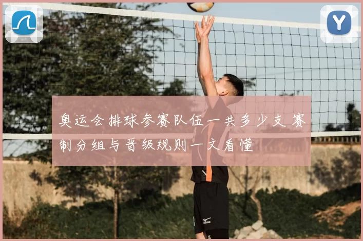 奥运会排球参赛队伍一共多少支 赛制分组与晋级规则一文看懂