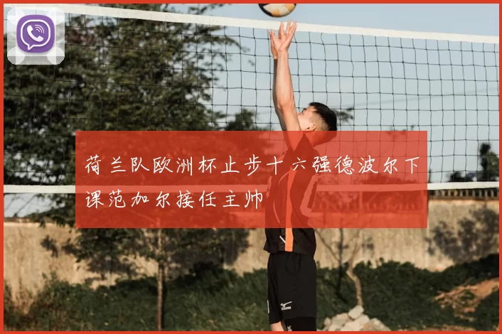 荷兰队欧洲杯止步十六强德波尔下课范加尔接任主帅