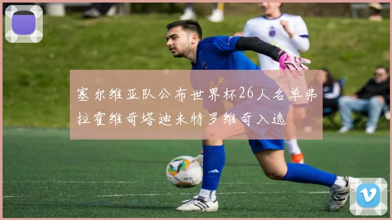 塞尔维亚队公布世界杯26人名单弗拉霍维奇塔迪米特罗维奇入选